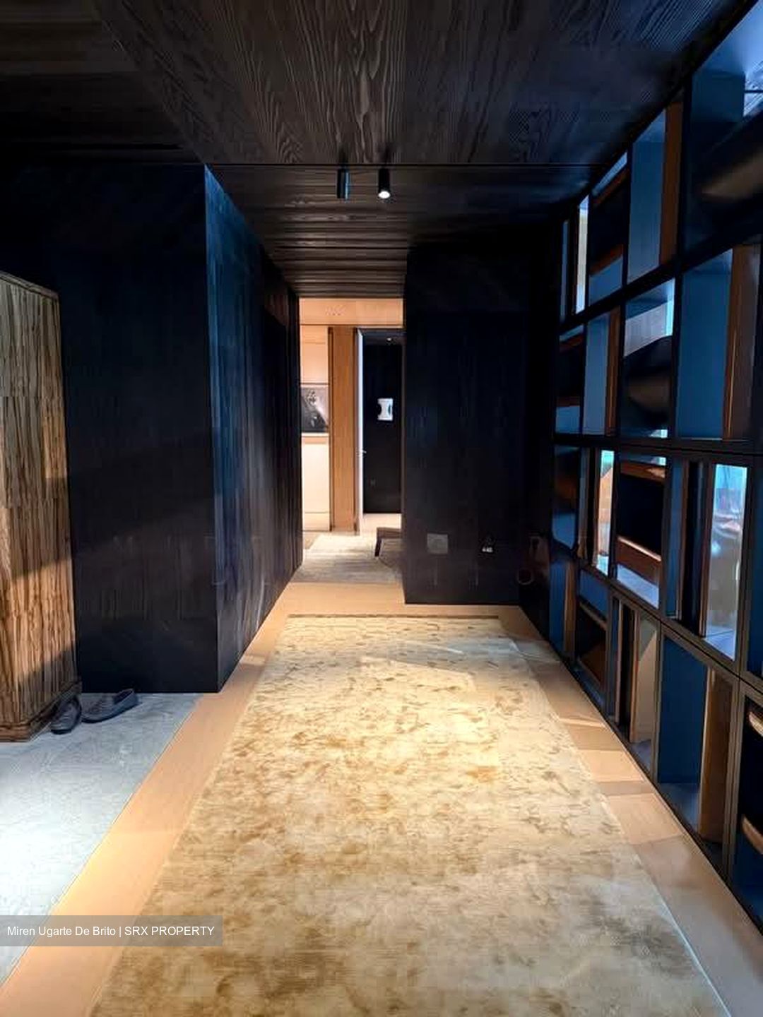21 Anderson (D10), Condominium #545332831